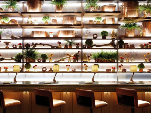 The Dorchester Hotel