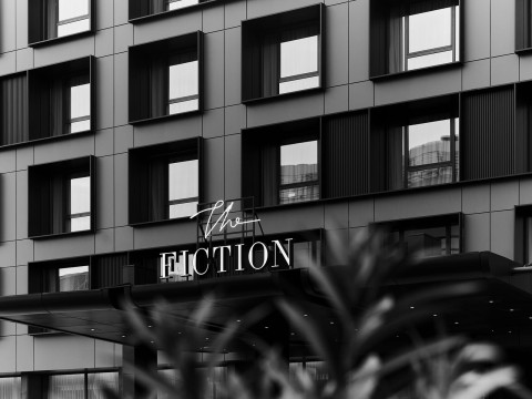 The Fiction