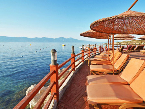 THE GRAND BLUE SKY INTERNATIONAL