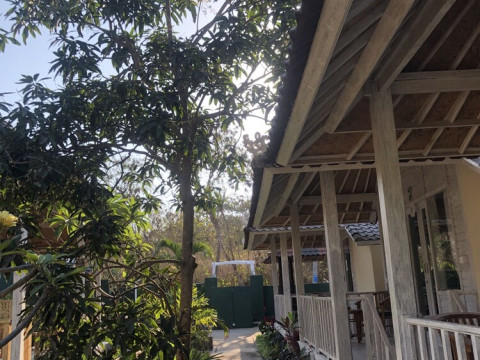 The Lucky Cottage