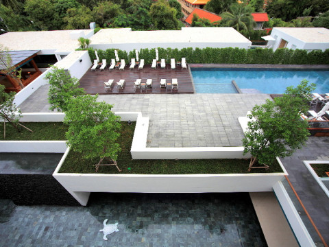 The Nap Patong