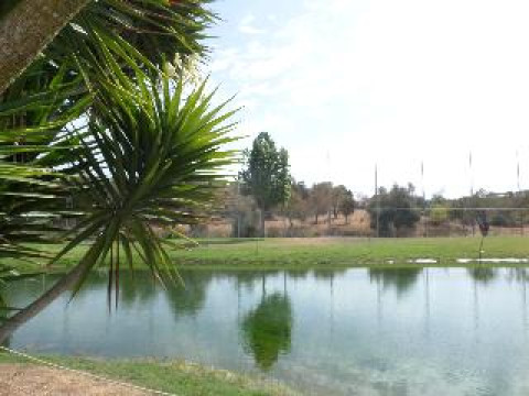 The Navigator - Palm Oasis Alvor