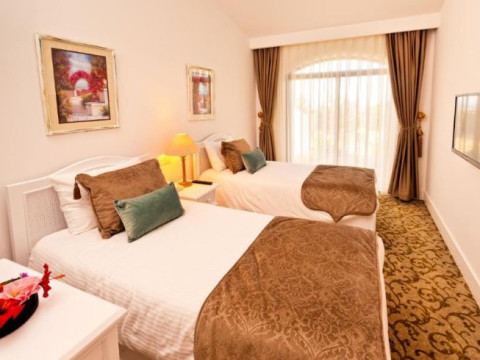 THE OLIVE TREE HOTEL
