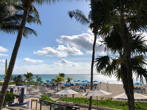 The Reef Playacar