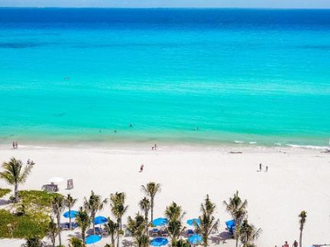 The Reef Playacar
