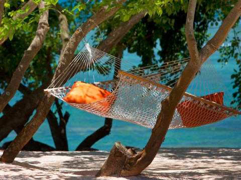 The Westin Turtle Bay Resort & Spa