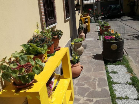 The Yellow House