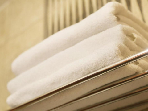 Hotel Theodian