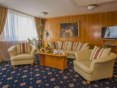 Top Hotel Praha
