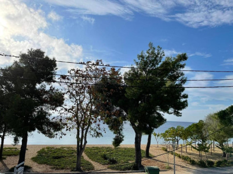 Toroni Beach Studios