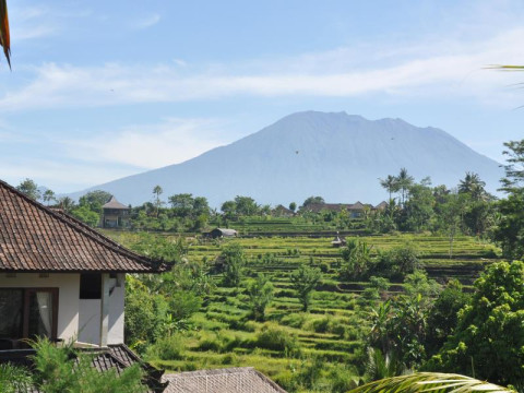 Uma Agung Villa & Spa