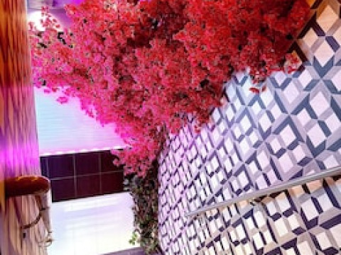 UMBRELLA, AN ASCEND HOTEL COLLECTION MEMBER