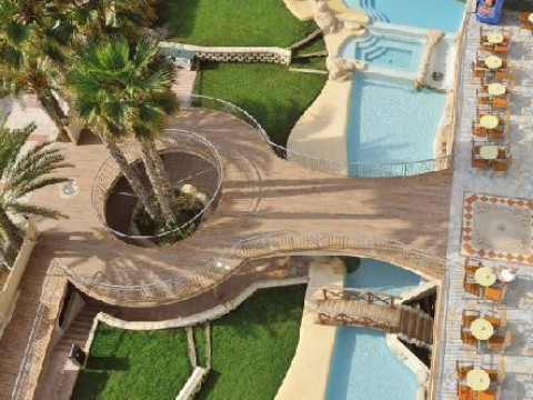 Kaktus Albir (Albir)