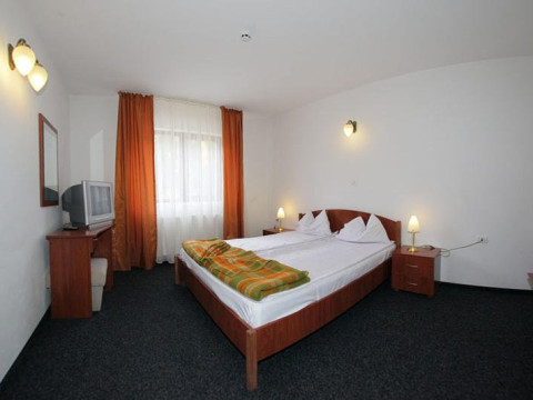Hotel Paltinis 