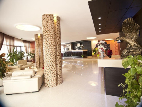 HOTEL VULTURUL