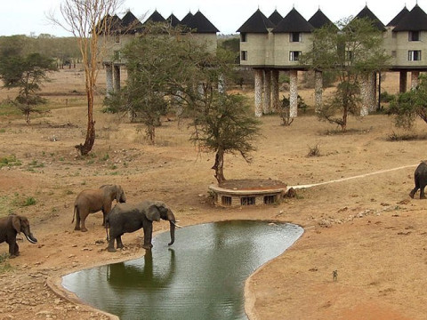 Safari Tsavo East - West (2 nopti) + Swahili Beach Resort (5 no
