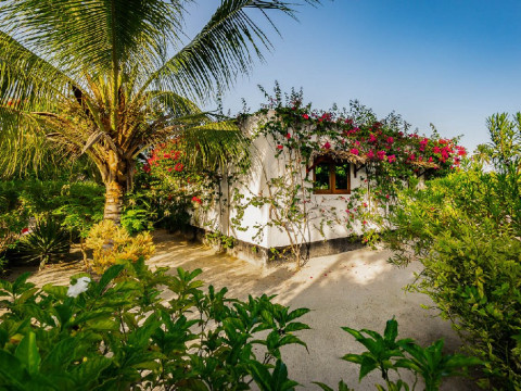WHITE PARADISE ZANZIBAR (Pongwe)