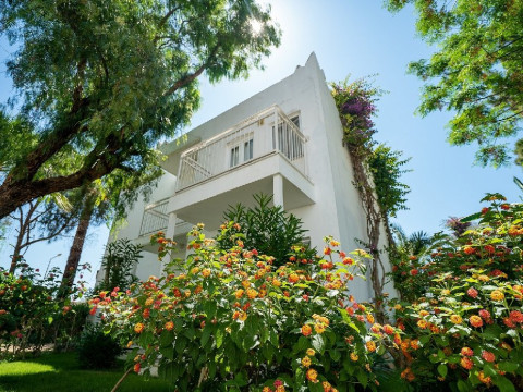 Petunia Beach Resort