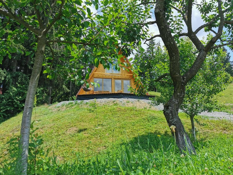 Cabana Livada 45 (Borsa)