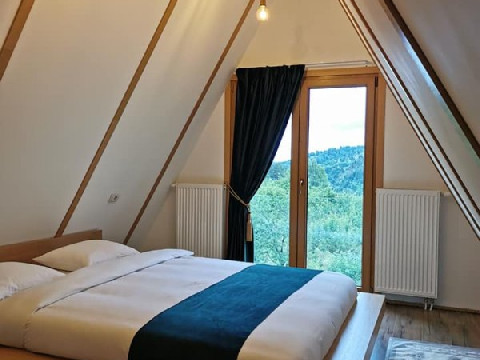 Cabana Livada 45 (Borsa)