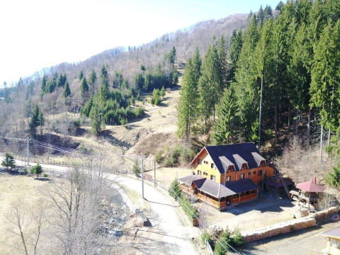 CABANA ANCUTEI