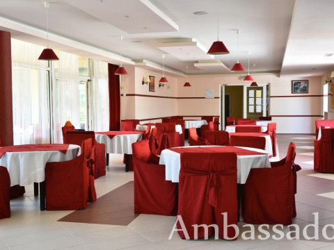 Ambassador