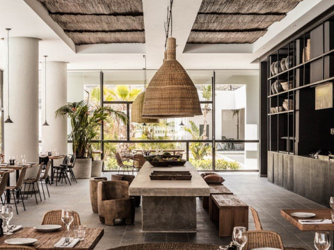 Casa Cook - Adults Only (D)