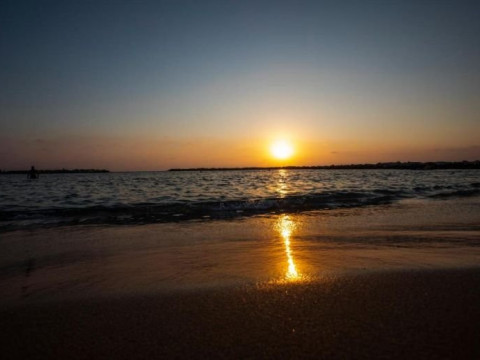 Venus Beach