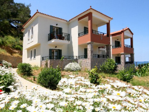 Hotel Alma (Petra)