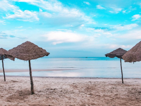 SENTIDO ROSA BEACH