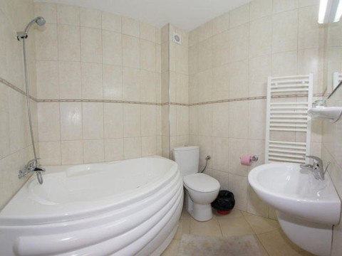 Hotel Paltinis 