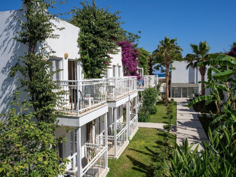 Petunia Beach Resort