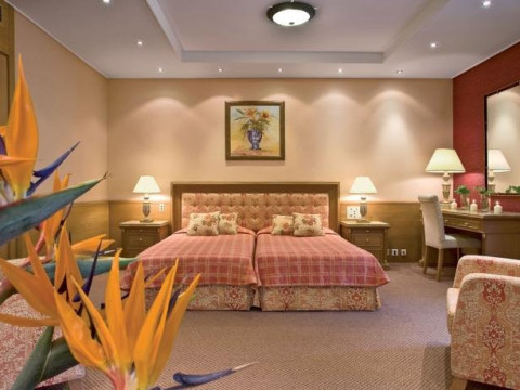Divani Palace Acropolis (Atena)