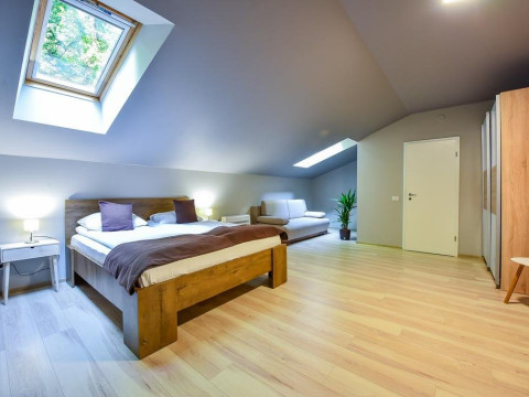 Arsenal Park (Orastie)