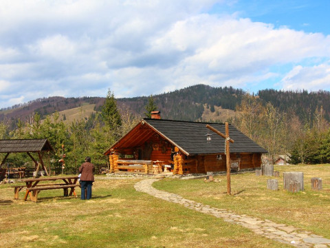 Inima Bucovinei ( Frasin)