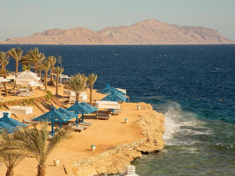 Grand Oasis Resort 