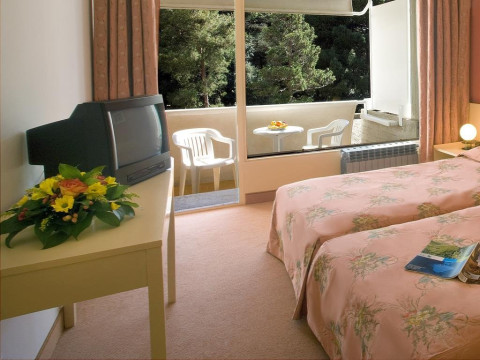 PICAL (Porec)