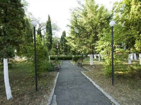 Craiasca 
