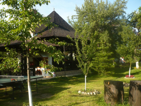 Casa Calin (Vama)