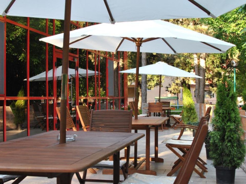 Hotel Dana