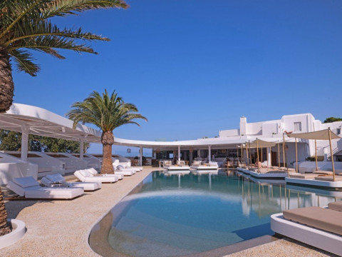 Andronikos - Adults Only 16+