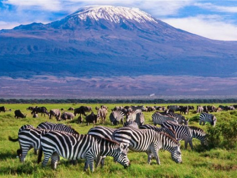 Safari Amboseli-Tsavo (3 nopti) + Diani Reef Beach (4 nopti)