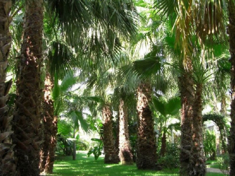 Park Hotel La Villa