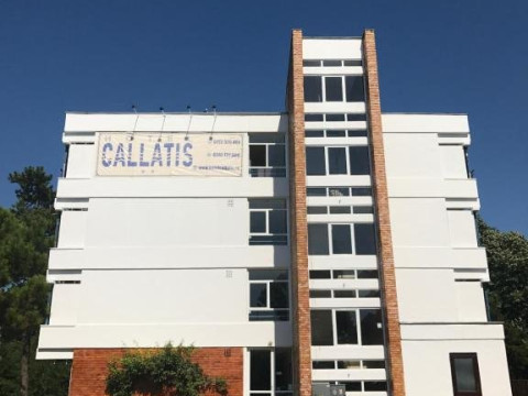 Callatis