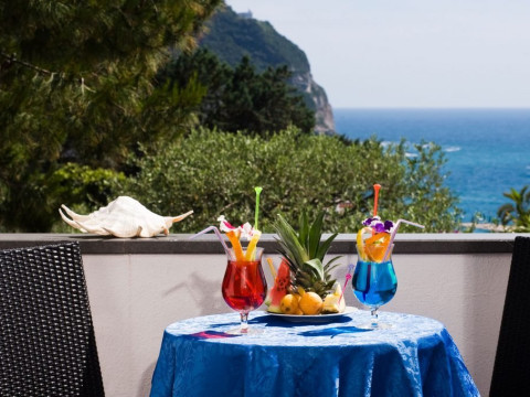 Hotel Ideal
