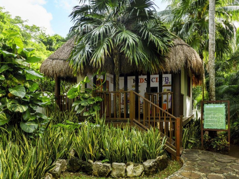 The Reef Playacar