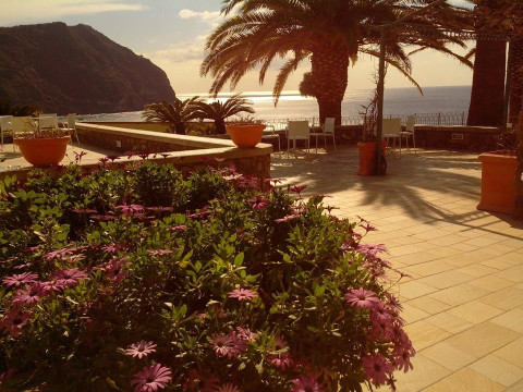Hotel Terme Royal Palm