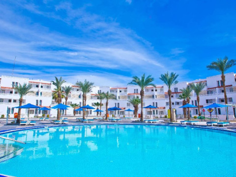 BEACH ALBATROS SSH