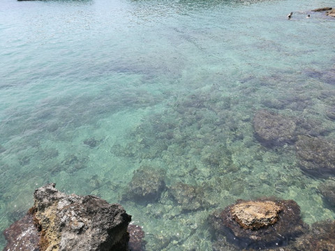 La Corvetta
