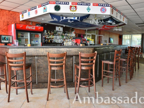 Ambassador